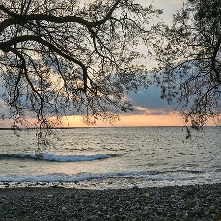 Sea Side House Rapanas Villa ฟาลาซาร์นา ภายนอก รูปภาพ