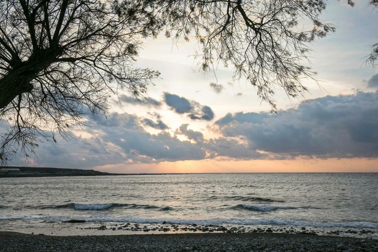 Sea Side House Rapanas Villa ฟาลาซาร์นา ภายนอก รูปภาพ